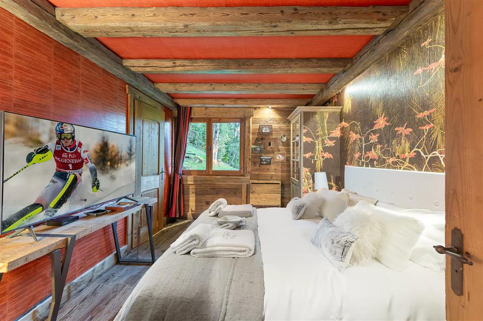 Chalet 2100 in  France