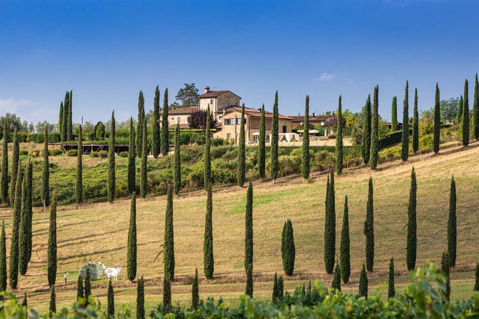 Ricciolo in Siena - villas in Tuscany