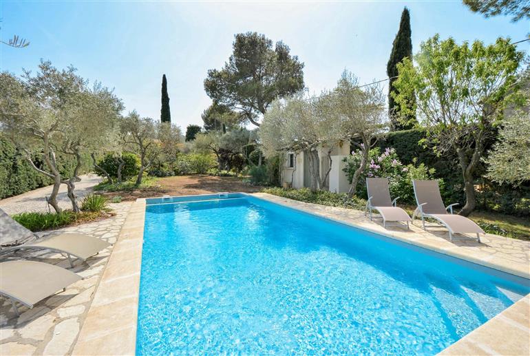 Swimming pool at Villa La Gauloise, St Remy de Provence